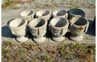 Property photo 16 - PERSONAL PROPERTY AUCTION OF DEWALD GARDENS IN ALLEN COUNTY, INDIANA